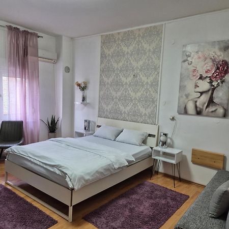 Rooms Villa Luigi Pančevo エクステリア 写真