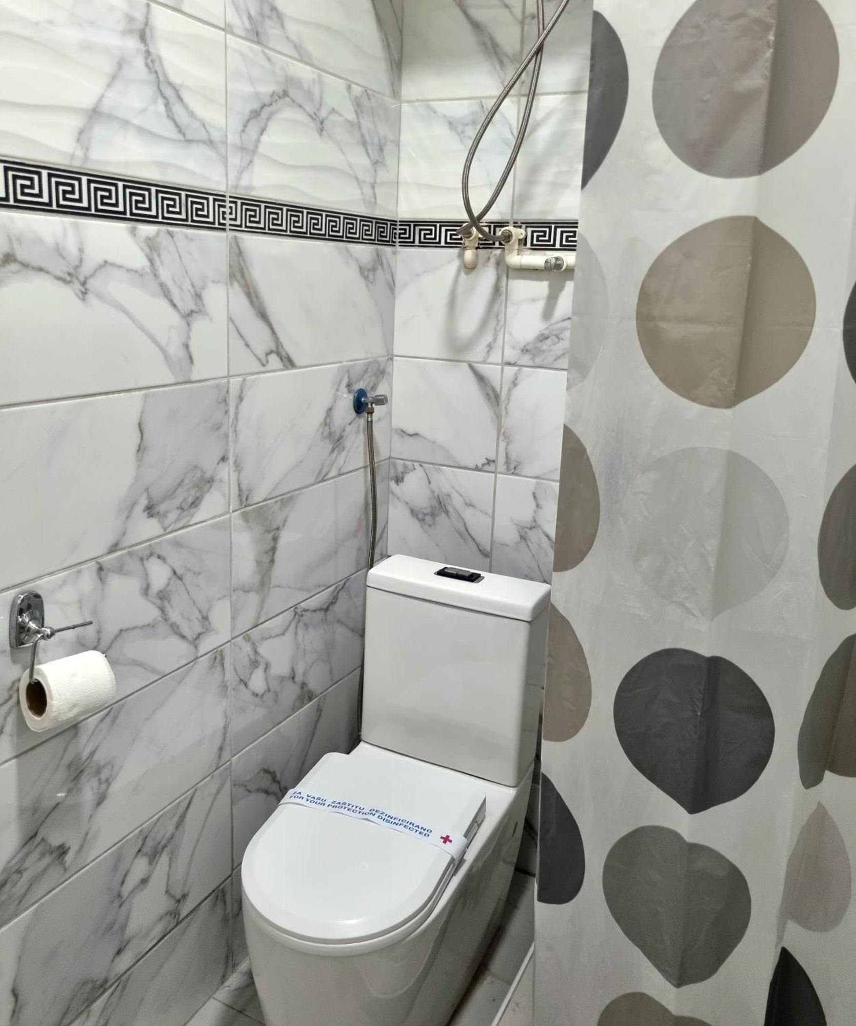 Rooms Villa Luigi Pančevo 部屋 写真